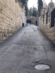 Walking down from Mt. of Olives